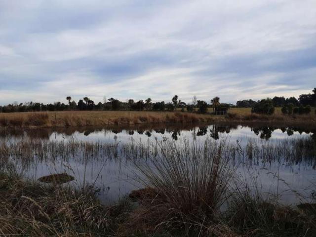 Property for sale in Amberley, Hurunui District