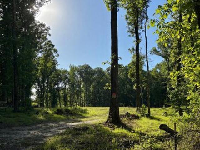 Land for sale in Florence, Mississippi