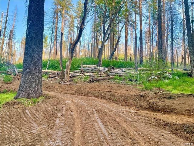 Land for sale in Mariposa