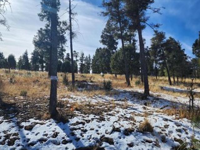 Land for sale in Alto, New Mexico