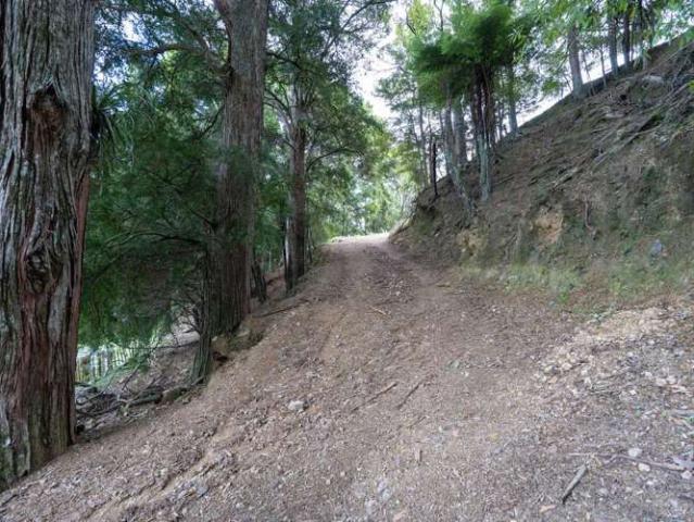 Property for sale in Karetu, Northland
