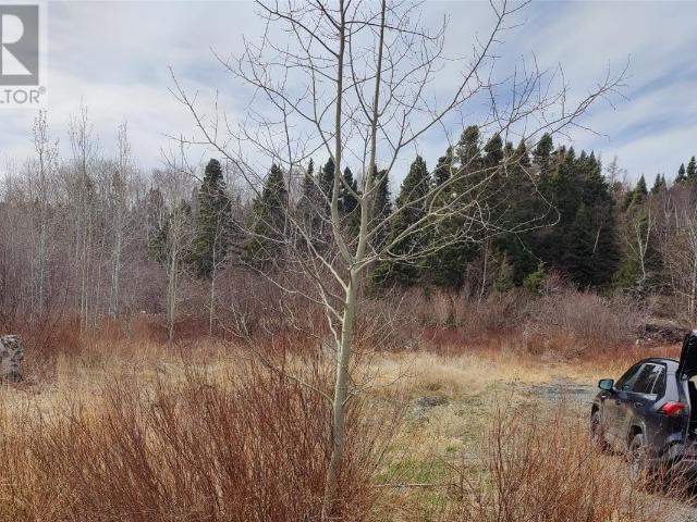 Land for sale in Glovertown, Newfoundland And Labrador