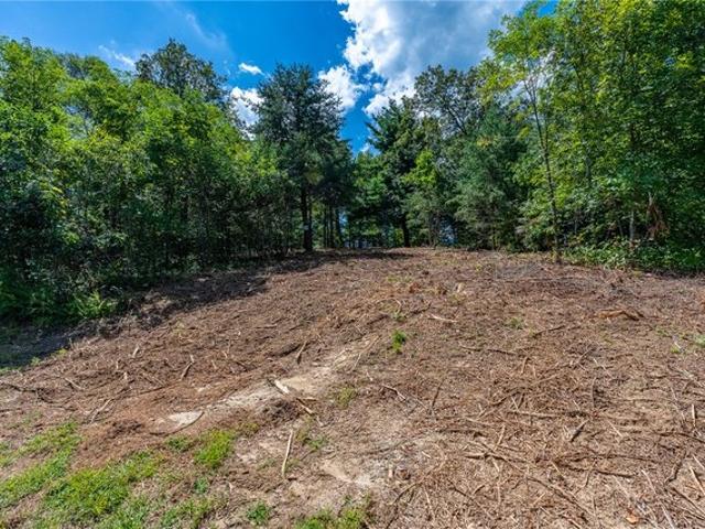 Land for sale in Landrum, Spartanburg County