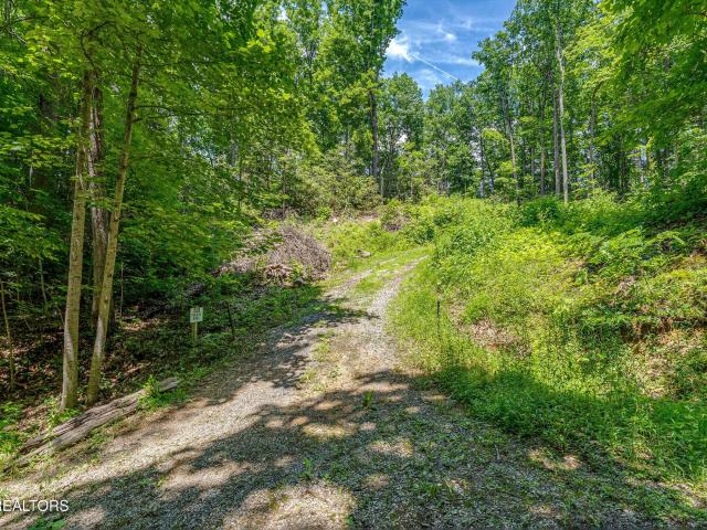 Land for sale in Tennessee