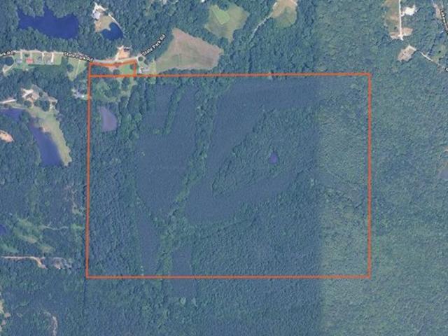 Land for sale in Belden, Mississippi