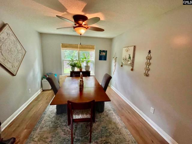 House for sale in Chapin, South Carolina