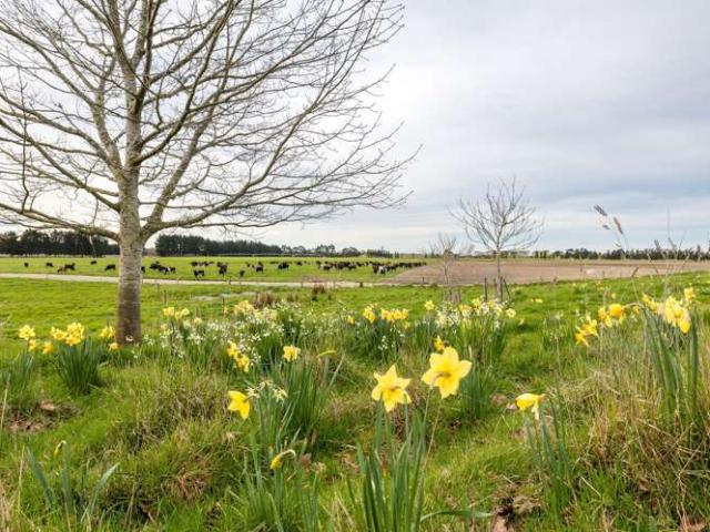 Property for sale in Waimate, Waimate District