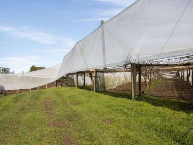 Property for sale in Katikati, Bay Of Plenty