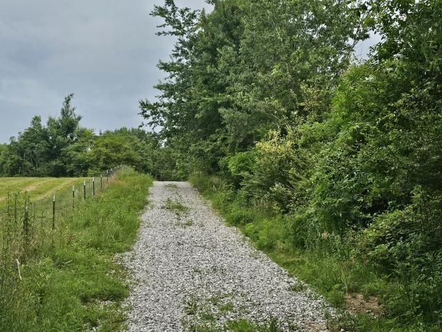 Land for sale in Tennessee