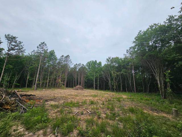 Land for sale in Tennessee