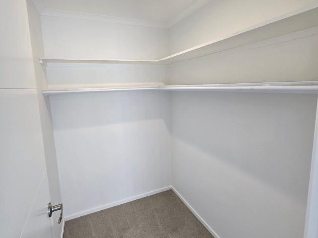 House for rent in Tauranga