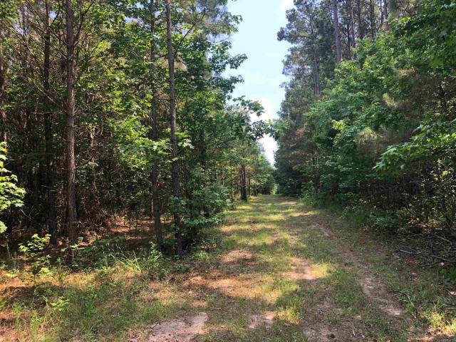 Land for sale in Camden