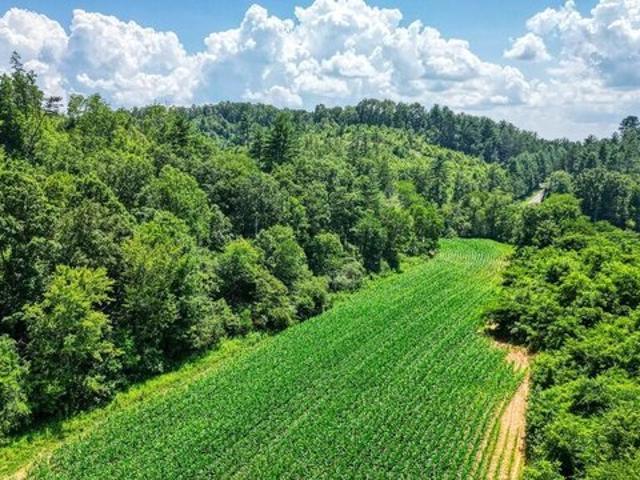 Land for sale in Mineral Bluff, Fannin County
