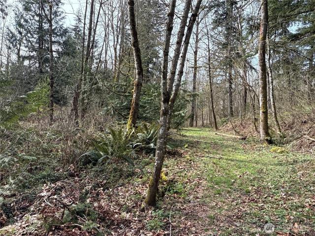 Land for sale in Maple Valley, Washington