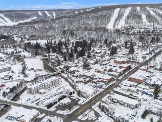 Commercial for sale in Ellicottville, New York