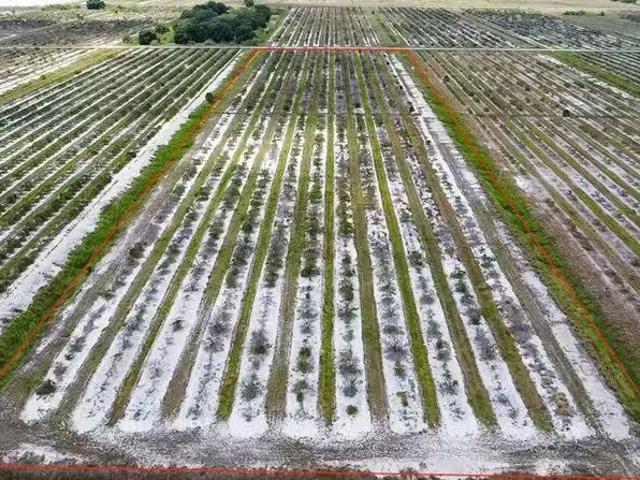 House for sale in Punta Gorda House for sale in Punta Gorda