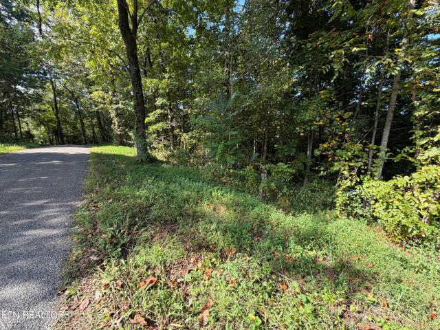 Land for sale in Allardt, Middle Tennessee