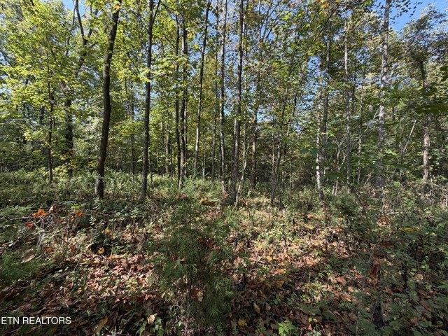 Land for sale in Allardt, Middle Tennessee