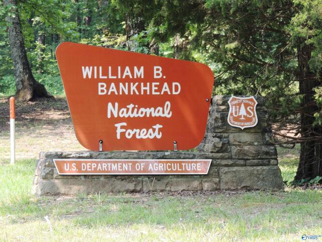 Land for sale in Moulton, Alabama