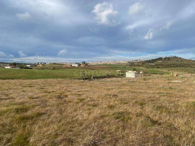 Terreno en venta en Azuaga, Badajoz