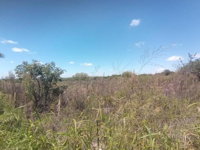 Land for sale in Seshego, Limpopo