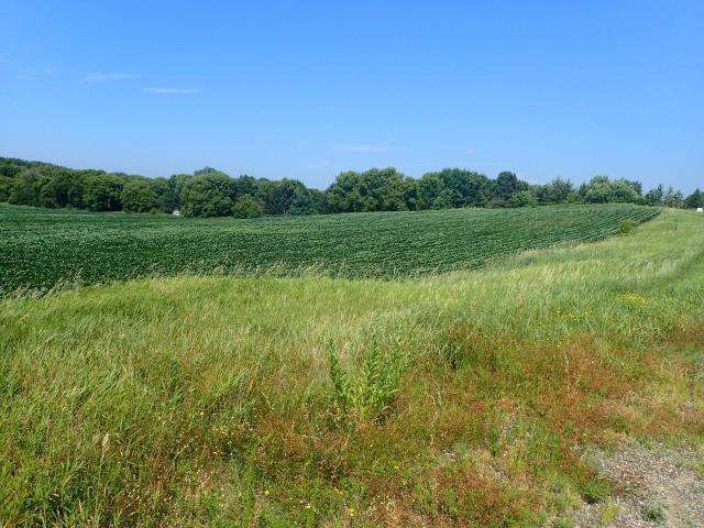 Land for sale in Wright, Minnesota