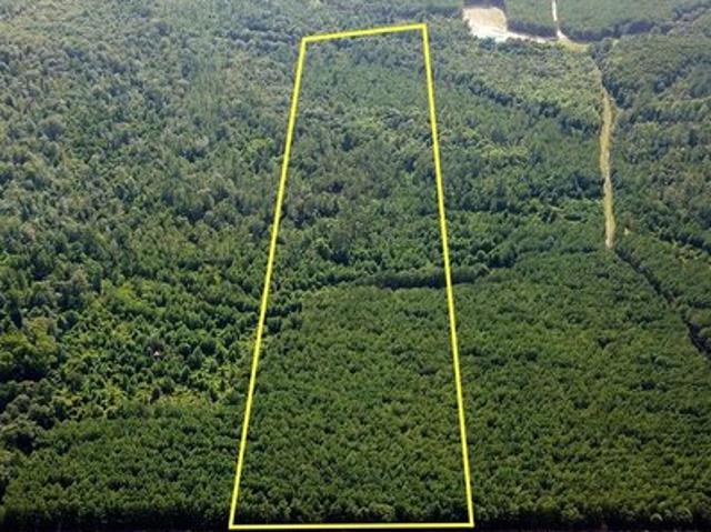 Land for sale in Cottonwood, Alabama