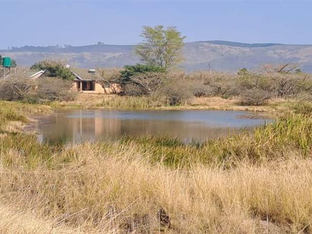 Farm for sale in Greytown, Kwazulu-natal