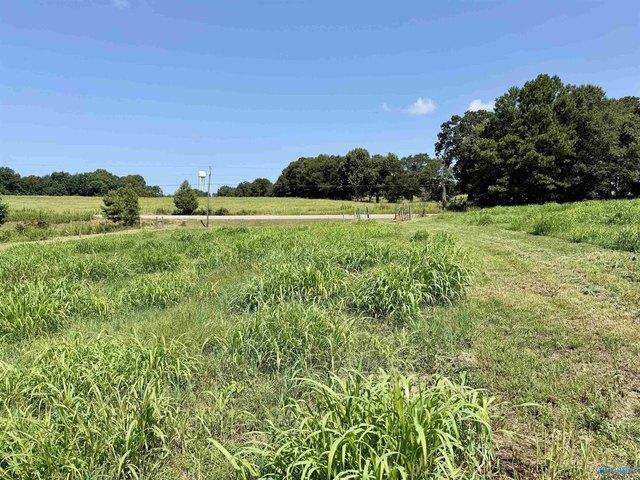 Land for sale in Boaz, Alabama
