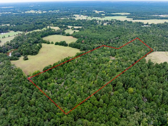 Land for sale in Grapeland, Texas