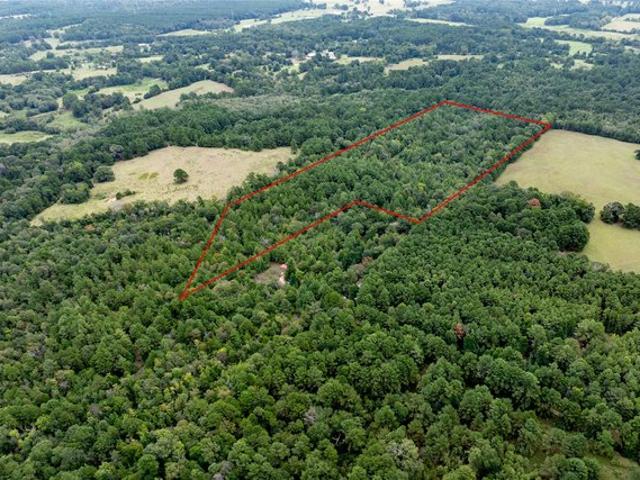 Land for sale in Grapeland, Houston County