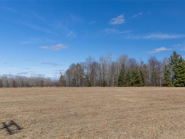 Land for sale in Tony, Wisconsin