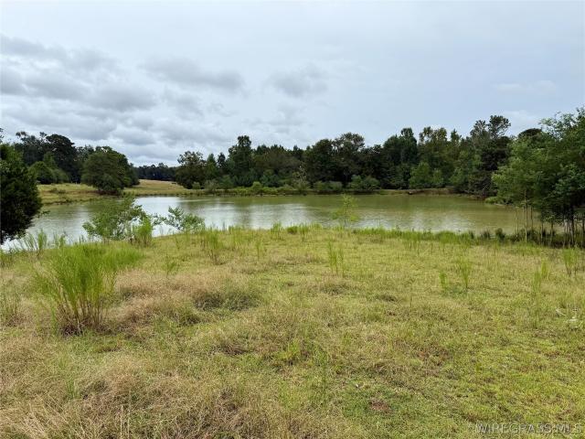 Land for sale in Samson, Coffee County