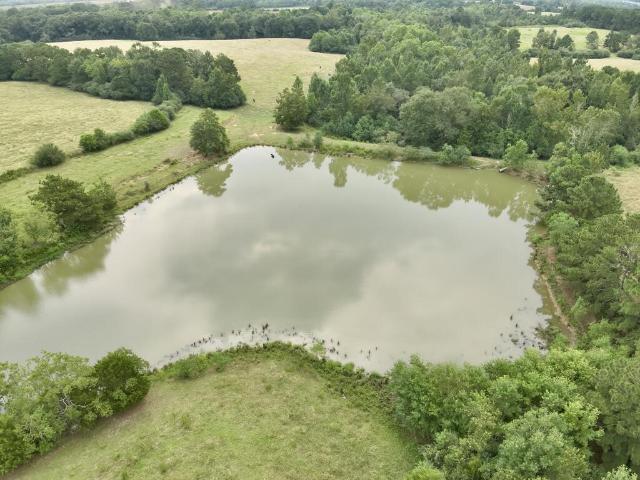 Land for sale in Samson, Coffee County
