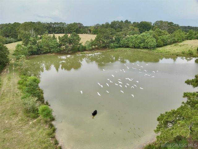 Land for sale in Samson, Geneva County