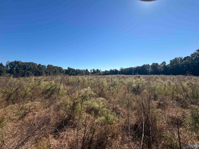 Land for sale in Douglas, Marshall County