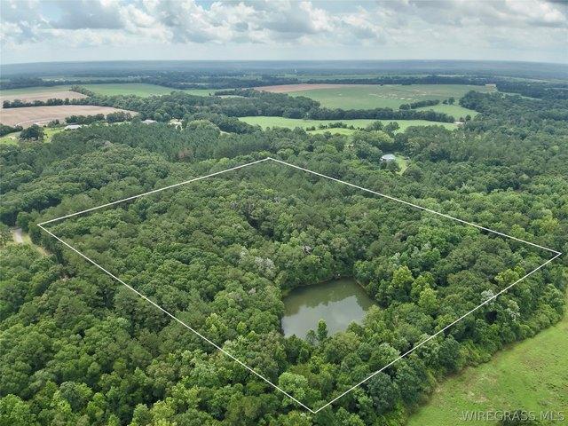 Land for sale in Dale, Alabama