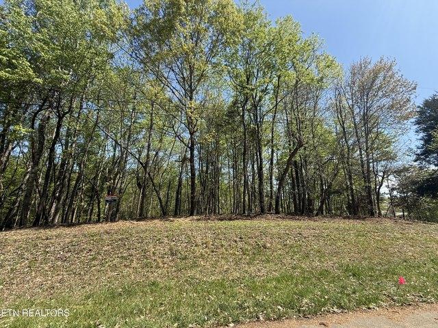 Land for sale in Tennessee