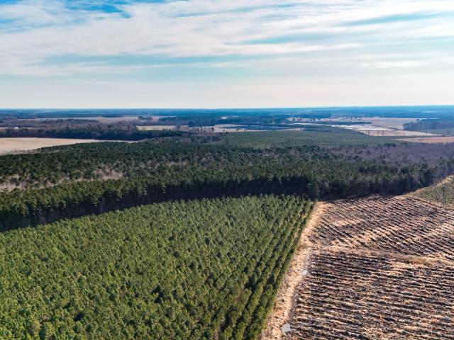 Land for sale in Hertford, Perquimans County