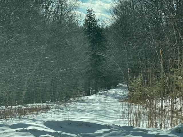 Land for sale in Stephentown, New York
