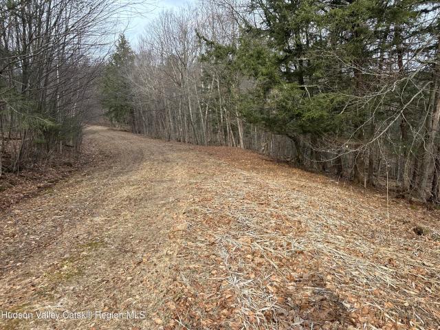 Land for sale in Stephentown, New York