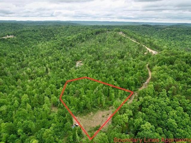 Land for sale in Monticello, Kentucky