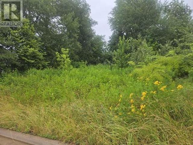 Land for sale in Springhill, Nova Scotia