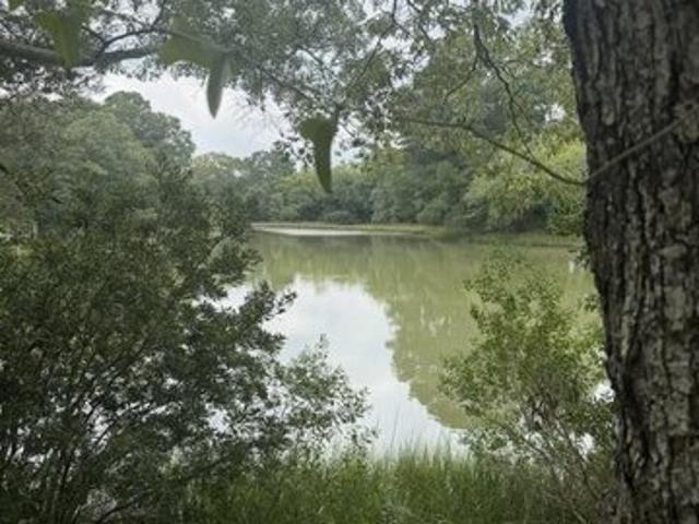 Land for sale in Virginia