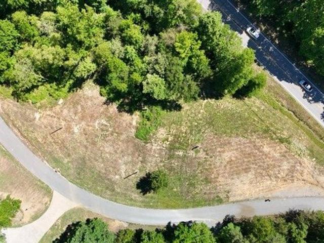 Land for sale in Menlo, Georgia