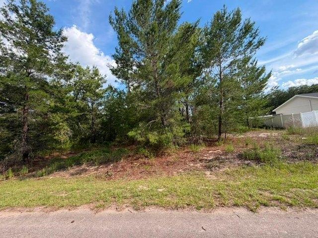 Land for sale in Ocklawaha, Florida