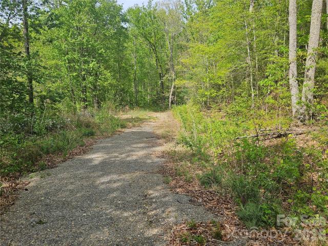 Land for sale in Candler, North Carolina