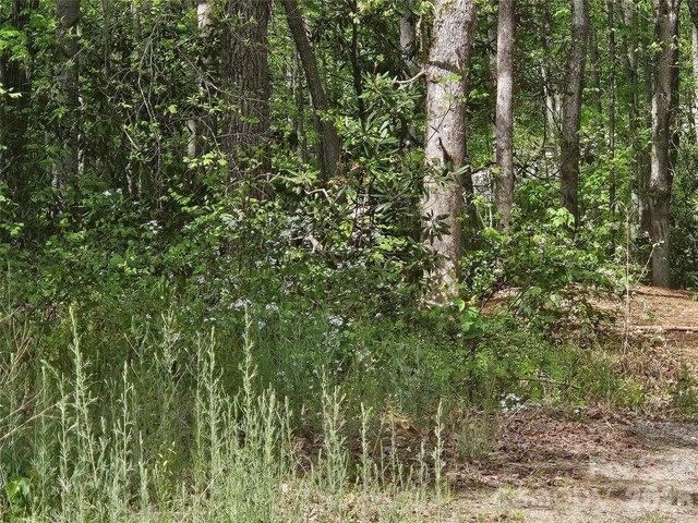 Land for sale in Candler, North Carolina