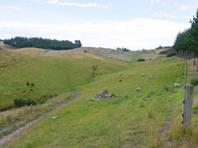Property for sale in Feilding