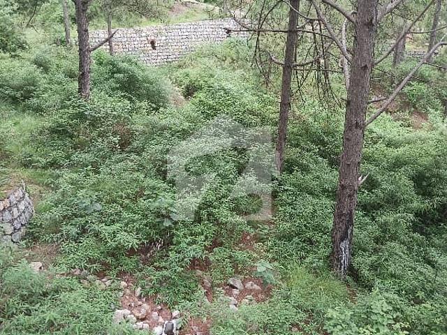 Property for sale in Islamabad